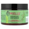 Mielle Rosemary Mint Strengthening Hair Masque